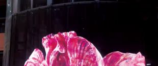 led屏為什么會流行起來？都有什么特點？