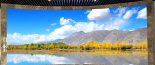 小間距led顯示屏未來的發展前景怎么樣？