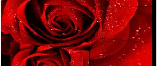 店員瘋狂發(fā)傳單，顧客卻頭也不抬？LED廣告機‘強制吸睛’的5個心機設(shè)計”